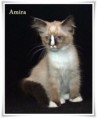 /album/amira/amira-12-hetes-002-jpg/